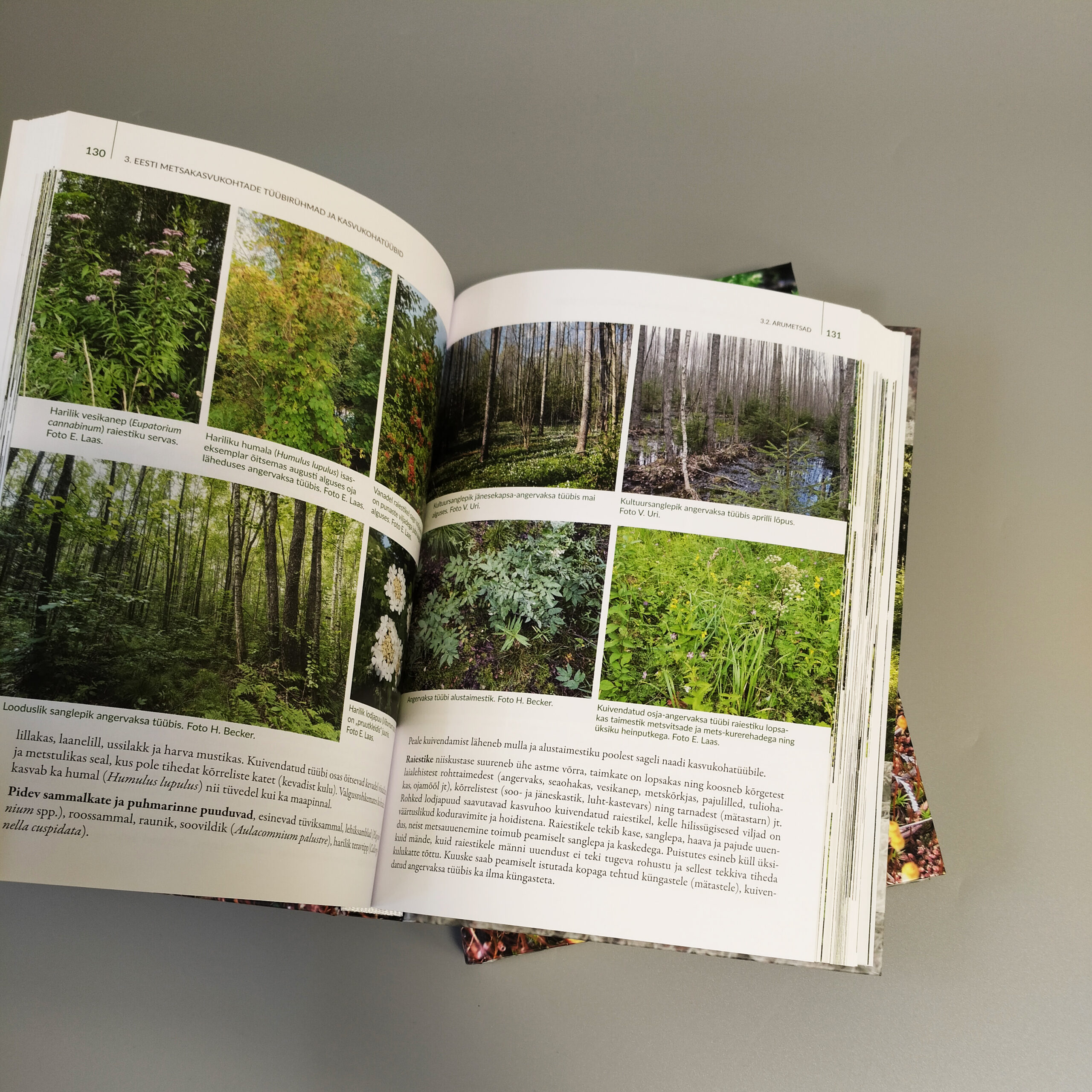 Küljendus ja kujundus.