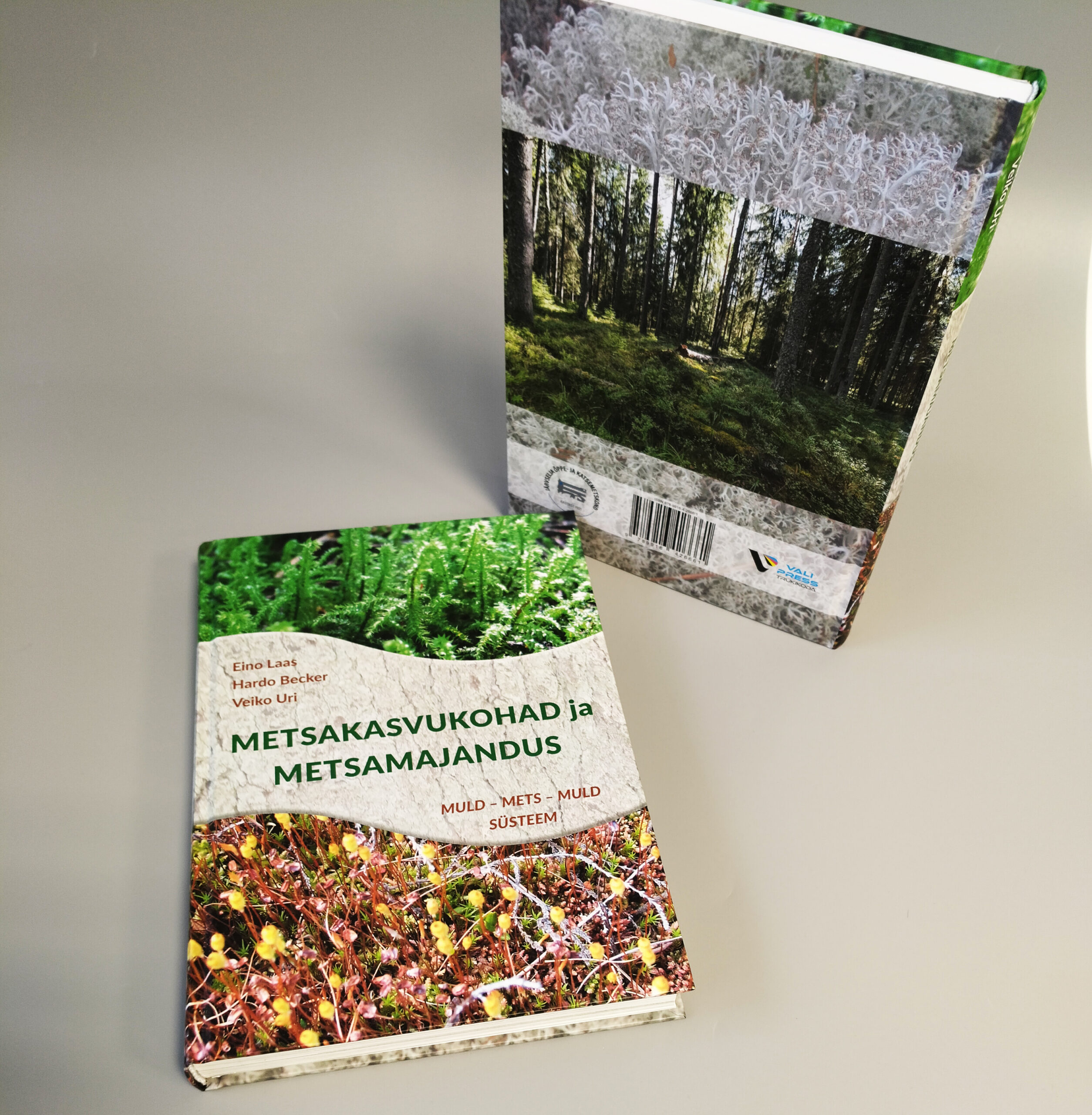 Õmmeldud kõvaköide.